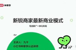 小红书新锐商家最新商业模式号店群广一体化布局