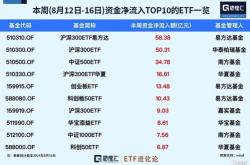 资金榜沪深基金：净流入亿元，居可比基金首位