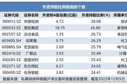 1.理解市场动向从西藏矿业获北向资金卖出万元看投资趋势