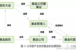 下面对基金的限定错误的是