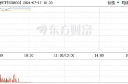 两只沙特再度大涨南方沙特竞价涨停