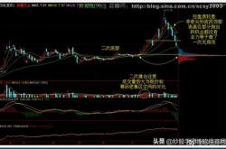 股票行情快报：真视通（）月日主力资金净卖出万元