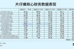 1.片仔癀的财务管理体系