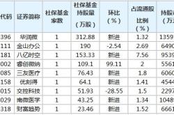 一、提高社保基金的收益率