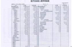 医保基金收支情况公示