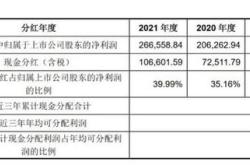 没上市的公司有股份分红