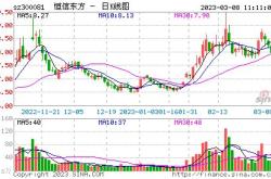 东方恒信资本控股集团有限公司