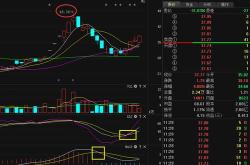 天银科技股票代码多少