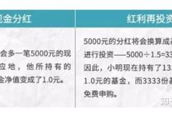 长期持有基金适合红利再投