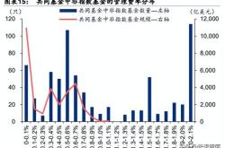 富达基金投资ssv