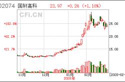 002074国轩高科股民评论