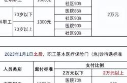 2021年医疗保险制度