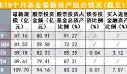 蚂蚁金服股票占比