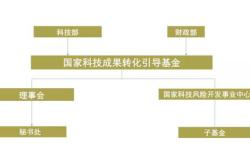 教育基金会工作职责