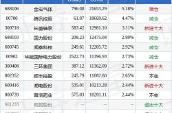 兴全可转债混合型证券投资基金