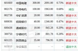 国寿安保稳安混合a(010984)基金