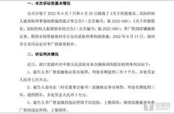 业绩或大增超200%,岩石股份上任4个月的董秘却选择"逃离"贵酒|海银