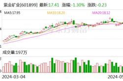 北向资金动向分析中际旭创净买入额居首，市场影响与投资策略探讨