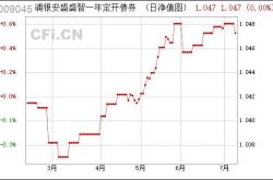 渤海汇金兴宸一年定开债券发起基金稳健投资的新选择