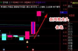 航运板块异动凤凰航运涨停背后的行业洞察与市场分析