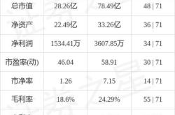 联创电子股票怎么样?