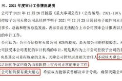 海通证券取消聘任普华永道为年度审计师，对审计费用的影响和建议