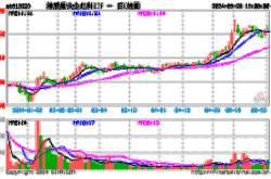 景顺长城中证港股通科技基金表现分析涨幅与份额增加