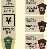 【政经谭】国家统计局揭秘！上半年经济与房地产数据大解读！