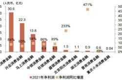 兴业消金年上半年实现营收亿元，实现净利润亿元