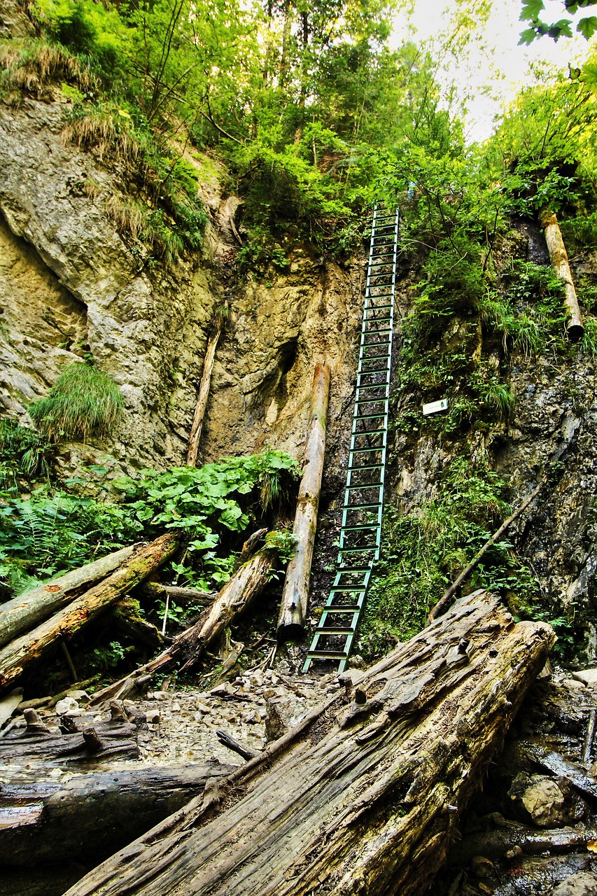 攀登梦想的阶梯，自费修复百米登山木梯的非凡之旅