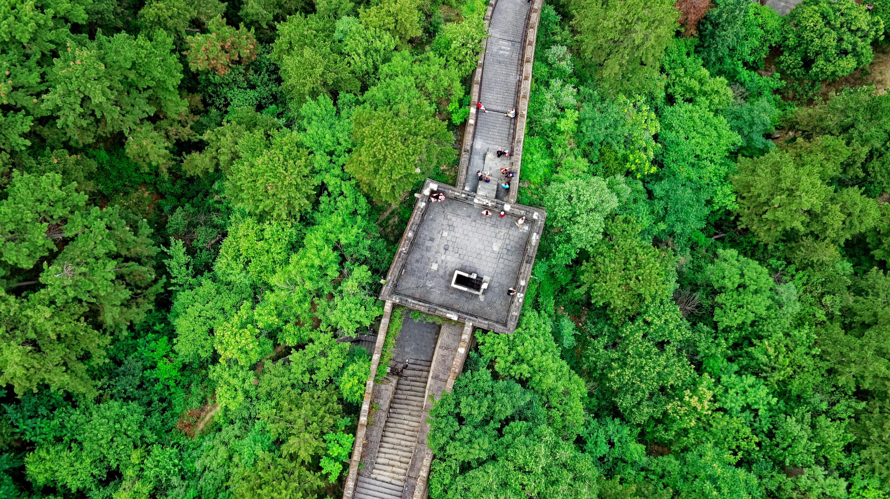 探索国家动物园，构建自然与文化的桥梁